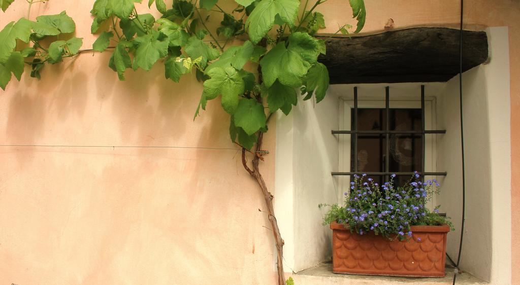 Casa Don Bosco Villa Locarno Rum bild